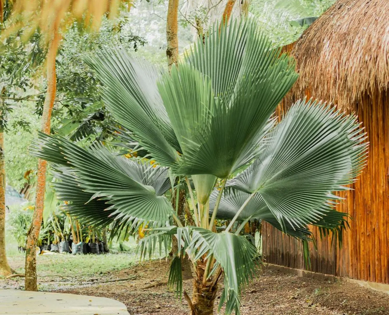 Hotel Mayan Playa Bacalar